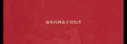 金毛纯种多少钱幼犬
