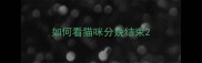 如何看猫咪分娩结束