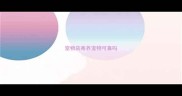 宠物店寄养宠物可靠吗