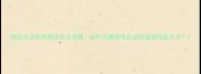 陨石色边牧狗狗改名全攻略如何为稀有毛色边牧选到完美名字
