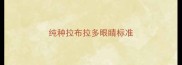 纯种拉布拉多眼睛标准
