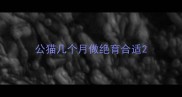 公猫几个月做绝育合适