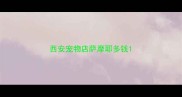 西安宠物店萨摩耶多钱