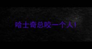 哈士奇总咬一个人