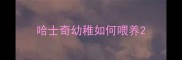 哈士奇幼稚如何喂养