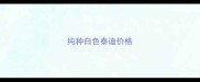 纯种白色泰迪价格