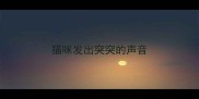 猫咪发出突突的声音