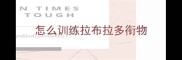 怎么训练拉布拉多衔物