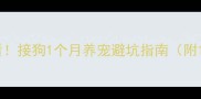 哈士奇母狗新手必看接狗1个月养宠避坑指南附120张血泪经验图