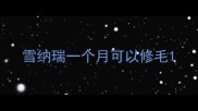 雪纳瑞一个月可以修毛