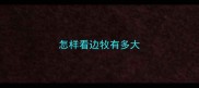 怎样看边牧有多大