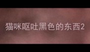 猫咪呕吐黑色的东西