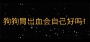 狗狗胃出血会自己好吗