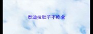 泰迪拉肚子不吃食