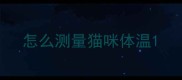 怎么测量猫咪体温