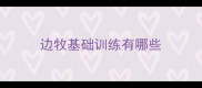 边牧基础训练有哪些