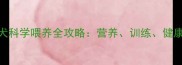 四个月大牧羊犬科学喂养全攻略营养训练健康三重管理指南
