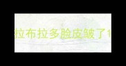 拉布拉多脸皮皱了