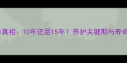 哈士奇寿命真相10年还是15年养护关键期与寿命延长攻略
