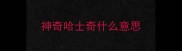 神奇哈士奇什么意思