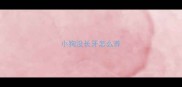 小狗没长牙怎么养