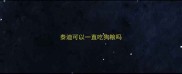 泰迪可以一直吃狗粮吗