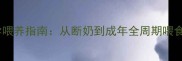 边境牧羊犬幼犬科学喂养指南从断奶到成年全周期喂食时间表与营养方案