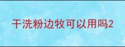 干洗粉边牧可以用吗