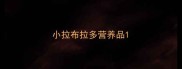 小拉布拉多营养品