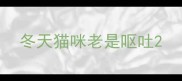 冬天猫咪老是呕吐