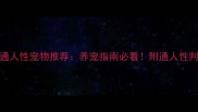 10种最通人性宠物推荐养宠指南必看附通人性判断标准