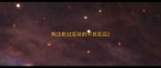 狗注射过疫苗的不良反应