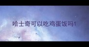 哈士奇可以吃鸡蛋饭吗