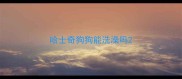 哈士奇狗狗能洗澡吗