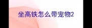 坐高铁怎么带宠物