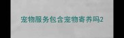 宠物服务包含宠物寄养吗