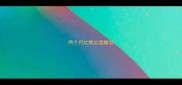 两个月比熊总是睡觉