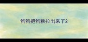 狗狗把狗粮拉出来了