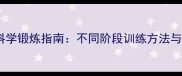 拉布拉多科学锻炼指南不同阶段训练方法与注意事项