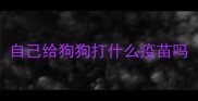 自己给狗狗打什么疫苗吗
