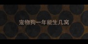 宠物狗一年能生几窝