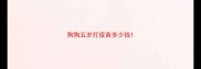 狗狗五岁打疫苗多少钱