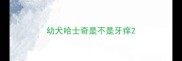 幼犬哈士奇是不是牙痒