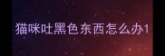 猫咪吐黑色东西怎么办