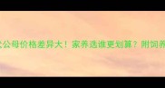 边境牧羊犬公母价格差异大家养选谁更划算附饲养成本对比