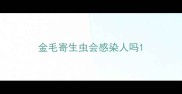 金毛寄生虫会感染人吗