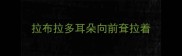 拉布拉多耳朵向前耷拉着