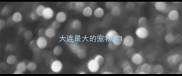 大连最大的宠物店