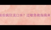 猫咪疫苗后疯狂流口水过敏急救指南来了