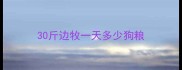 30斤边牧一天多少狗粮
